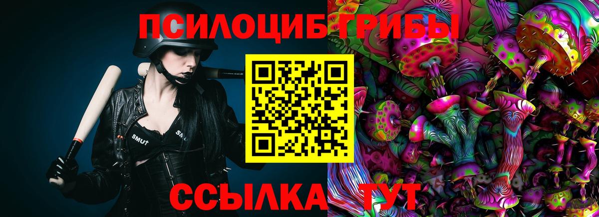 Псилоцибиновые грибы Cubensis  Вход с VPN  Кстово 